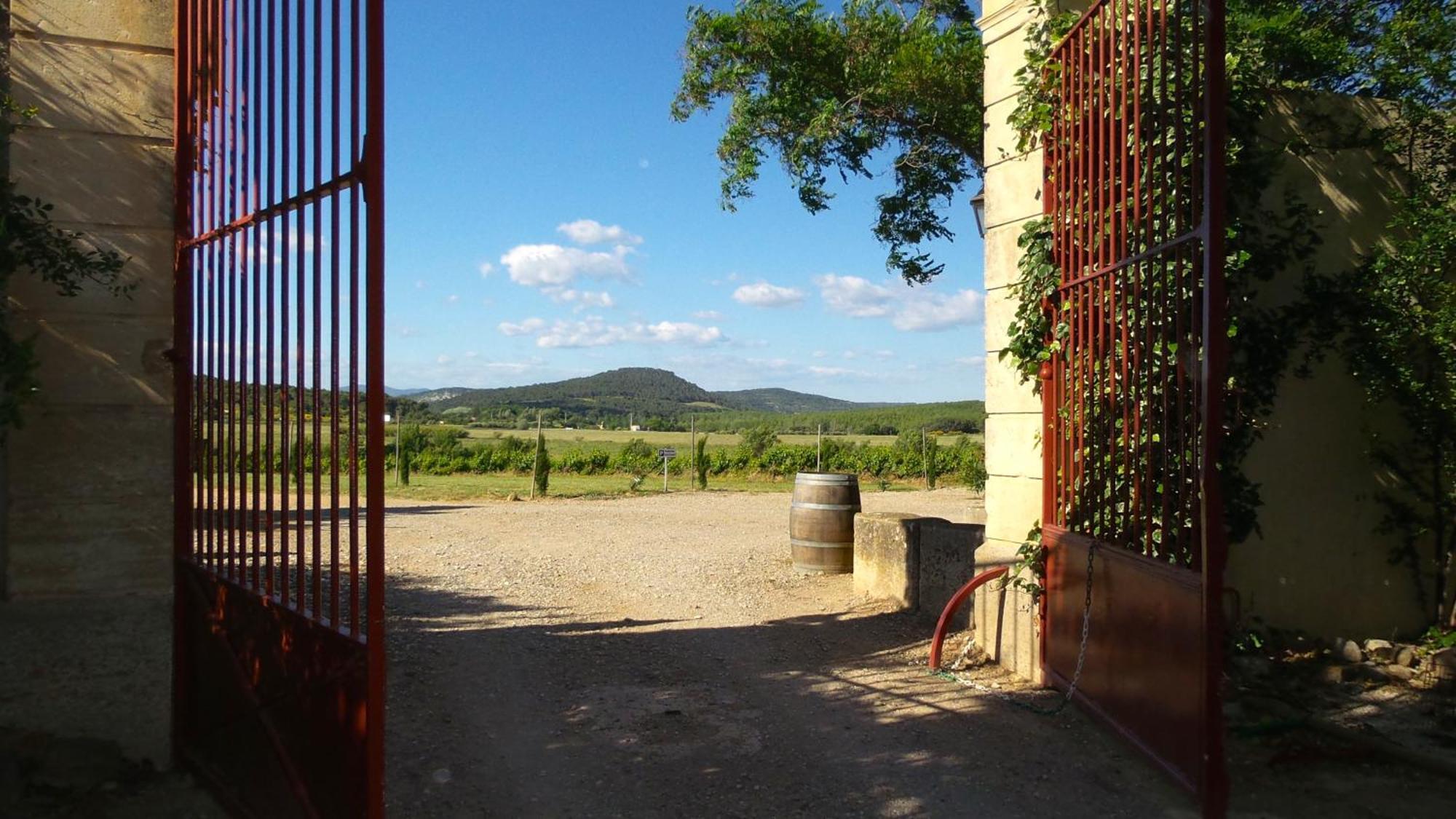 Chateau Le Vergel Authenac Ginestas Quarto foto
